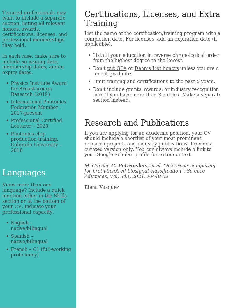 CV Template Skilled preview